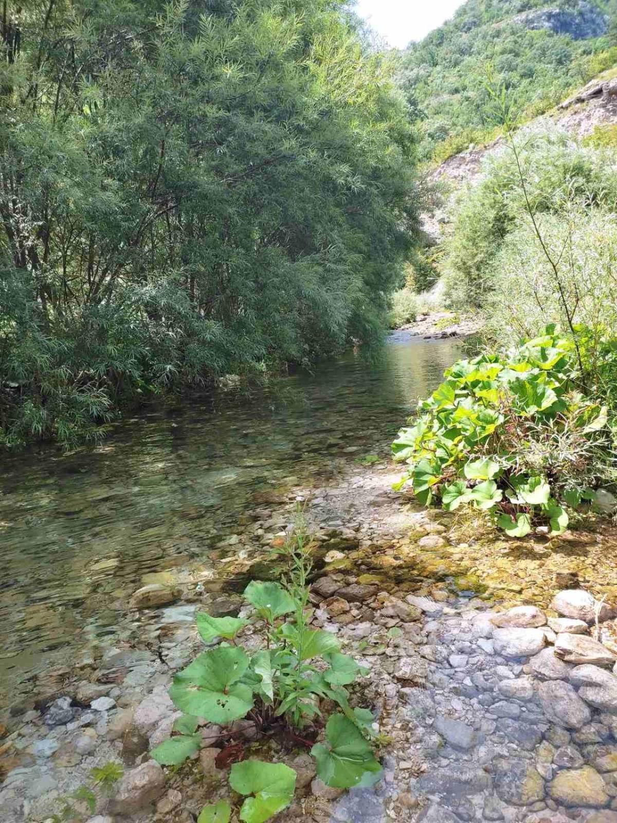 Willa Kuca Za Odmor Diva Mostar Zewnętrze zdjęcie